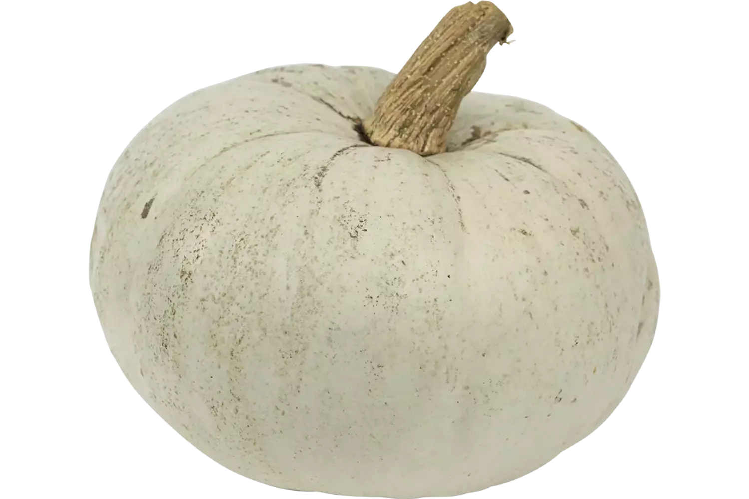 Pompoen Blue Hongarian 1 tot 3 kilo kist 1 stuk